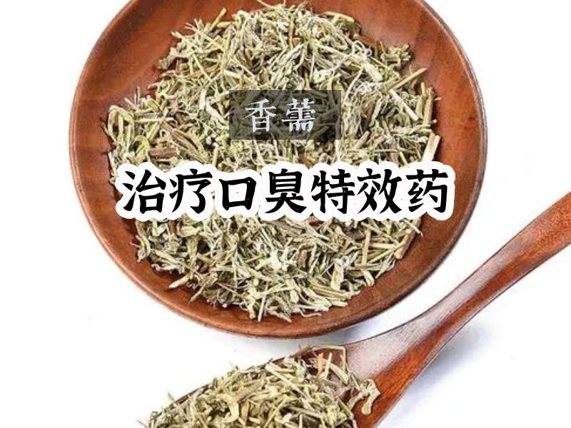 中药香薷