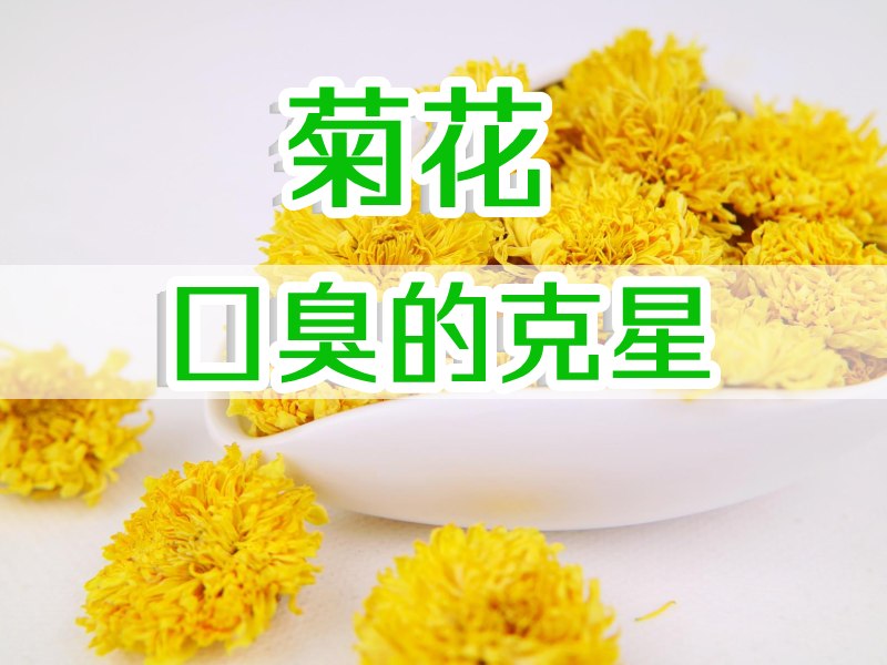 口臭喝菊花