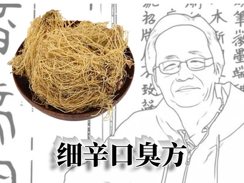 细辛治口臭