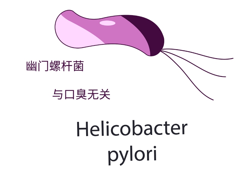 幽门螺杆菌