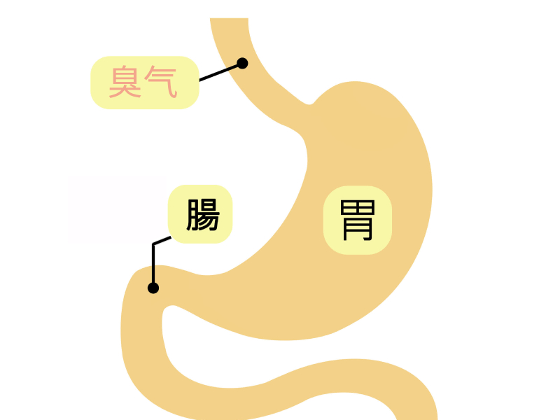 肠胃口臭